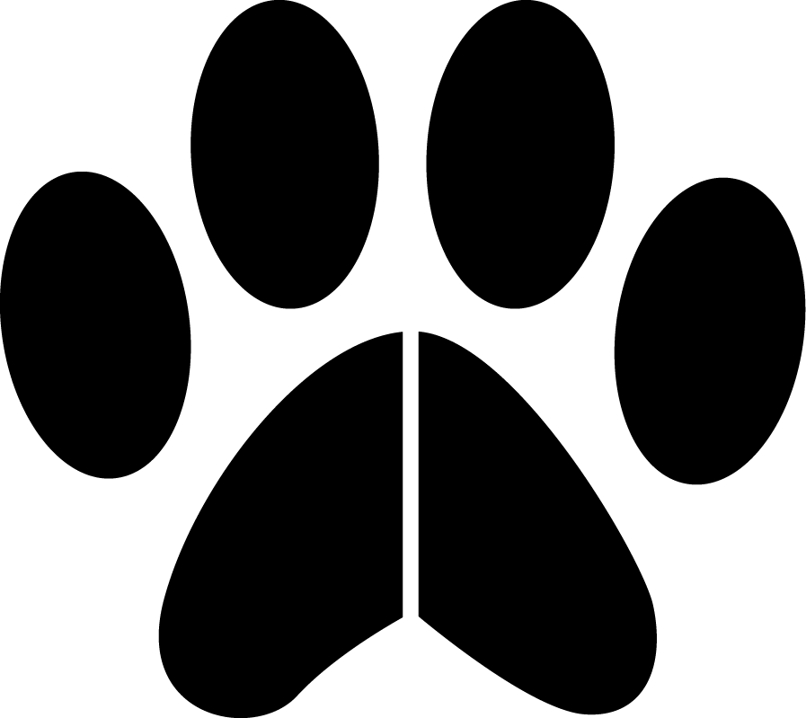 Logo Footer